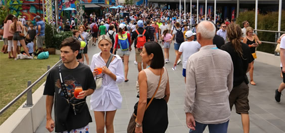 crowd